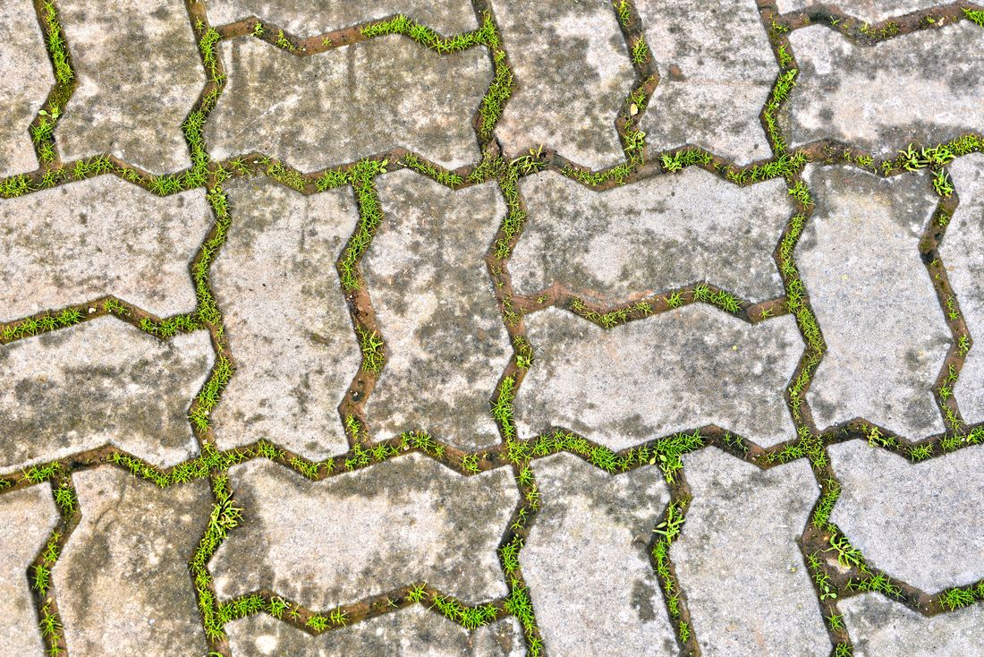 Waterdoorlatende verharding met grasvoegen